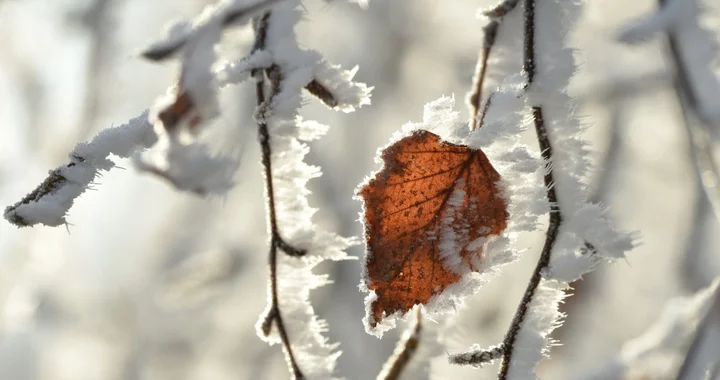 Cold Snap to Hit Europe From Weekend in First Winter Energy Test