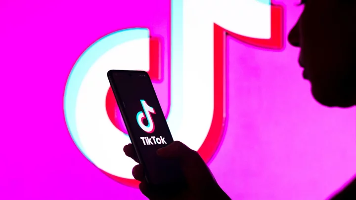 Which countries have banned TikTok?