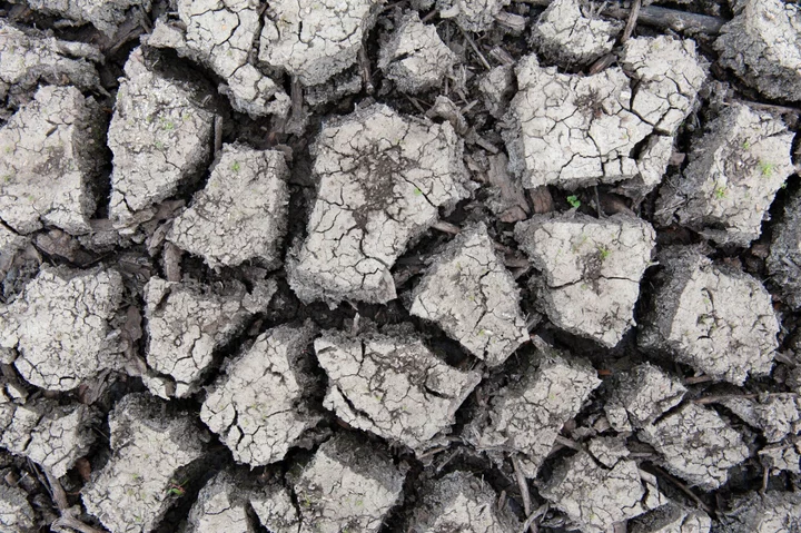 Water Plants Turn Salty Due to Low Mississippi: Weather Watch