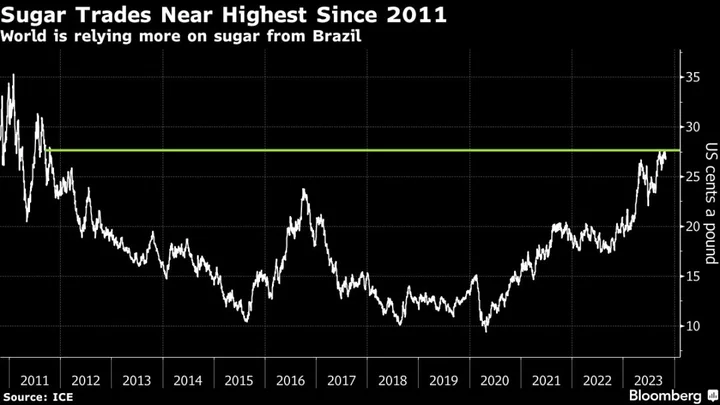 Thai Sugar Crop Outlook Worsens as Mills Grapple With New Export Rules