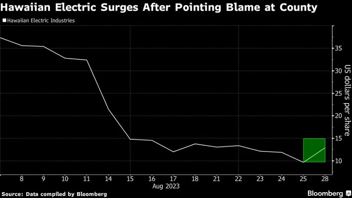 Hawaii Utility Soars After Pointing Blame for Fire at County