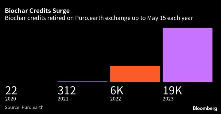 Ancient Amazon Charcoal Seen as Next Big Thing in Carbon Markets