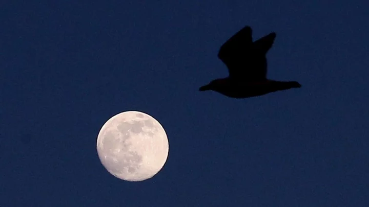 A 'supermoon' is on its way - here's how to take great photos of it