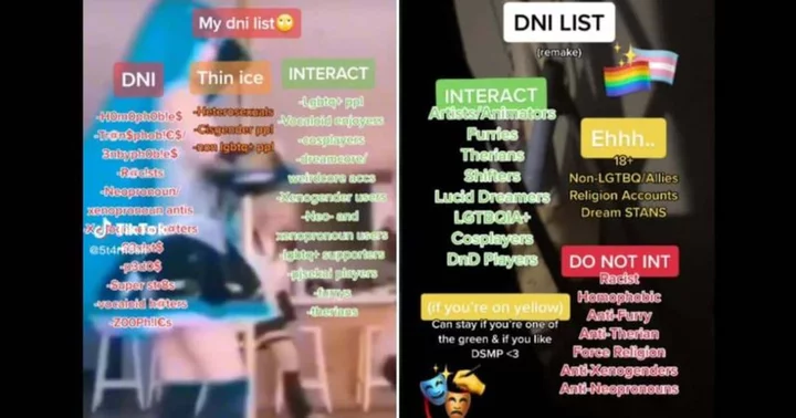 DNI: What does TikTok's latest slang mean?