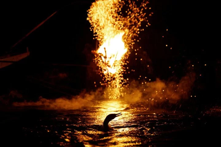 Environmental change threatens what's left of Japan's cormorant fishing legacy