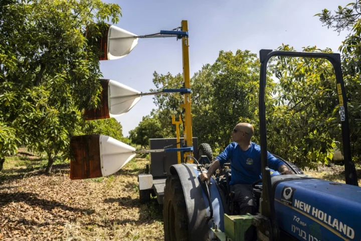 Israel enlists drones, AI and big data to farm for the future