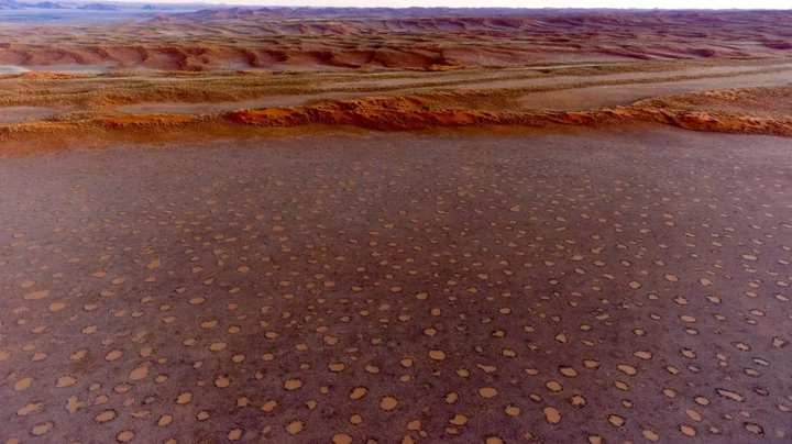 Mysterious 'fairy circles' are spreading across the world and scientists don't know why