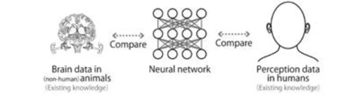 NTT Study: Artificial Neural Networks for Recognizing Natural Sounds Exhibit Human-Like Responses